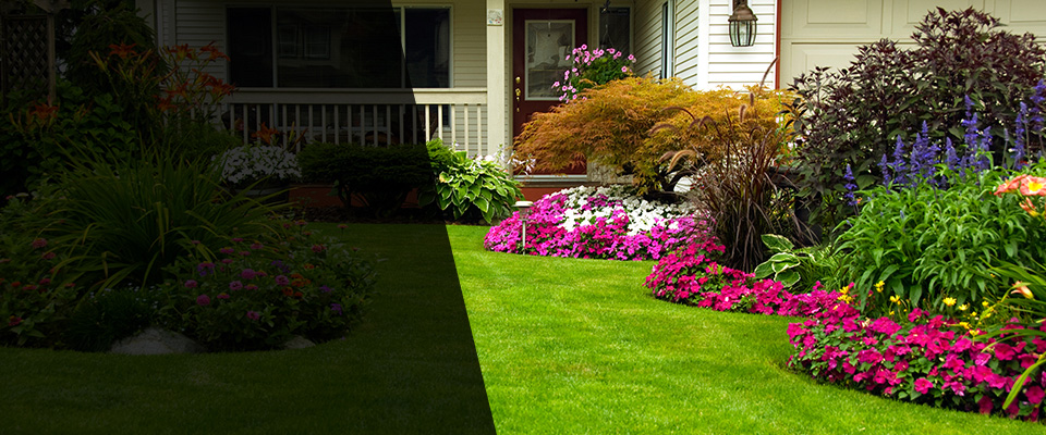 Belle Chasse Landscapers