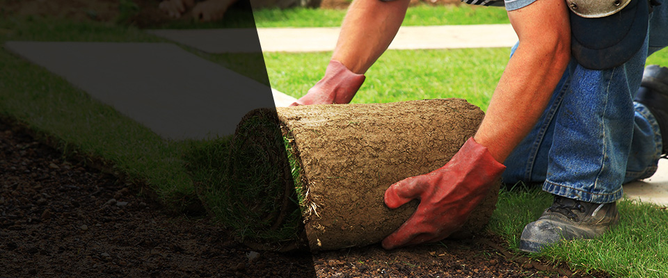 Belle Chasse Landscapers